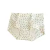 Calcinhas Femininas 100% Algodão 10A Antibacterianas com Entreperna Estendida Estilo Floresta Floral Pequeno Cintura Média Tamanho Plus Size Boxer Calcinhas 100% Algodão para Mulheres