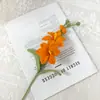 Pieza de Decoración para el Hogar de Orquídea Marciana Tejida Puramente a Mano, Flor Artificial Crochetada, Regalo de Cumpleaños Tejido con Hilo, Flor de Recuerdo