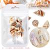 Serie Oceánica Manicura Rodajas de Concha Natural Rodajas de Abulón Estrella de Mar Caracola Playa de Verano Joyería DIY Mayoreo