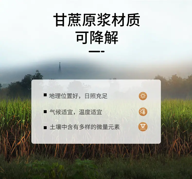 盘碟_03.png