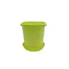 Vaso Quadrado para Suculenta Echeveria 'Hortula', Vaso de Plástico, Branco e Rosa