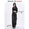 Jeans Feminino 2024 Inverno Novo Cintura Alta Preto Cinza Perna Estreita Perna Larga Calça Reta para Corpo Pera
