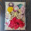 Bolsa de Materiales DIY Flor Seca Inmortal Tuanjian Marco de Fotos Pintura Tarjeta de Felicitación Tuanfan Ramo Pequeño Hecho a Mano Flor Real Bolsa de Flores en Relieve