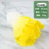 Modelo de vegetal de simulação PU pimenta alface repolho chinês berinjela cebola cogumelo brócolis modelo de adereços decoração de sala