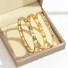 Set de Pulseras de Ojo de Diablo de Circonita Simple, de Moda, Elegante, Moderno y Versátil para Niñas, Pulsera de Acero de Titanio de Alta Gama