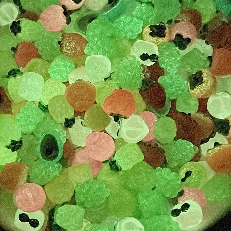 1778be7496bd603cc8c1a78aee8302