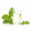 Aceite Esencial de Mejorana Dulce, Zona de Producción Francesa, Aceite Esencial Orgánico, Aceite de Masaje, Materia Prima al por Mayor para Muestreo Industrial