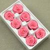 Flor Mágica Flor Eterna Grado AB 4-5 Rosa Caja Entera diy Bolsa de Material Floral Cubierta de Vidrio Día de San Valentín Unicornio
