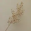 Material de Balde de Ano Novo 2025 Véspera de Ano Novo Fruta Vermelha Folha de Ouro Folha de Ginkgo Folha de Leque Tamanho do Leque Leque Redondo Costas de Tartaruga Dourado