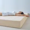Protector de colchón impermeable, a prueba de orina y pelo de gato, funda de colchón ajustable de sábana bajera completamente sellada
