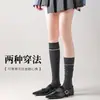 Calcetines Nuevos Explosivos Primavera 2025 Estilo Coreano Combinación de Colores Raya Dibujada Calcetines de Pantorrilla para Mujer Básicos Joker Hasta la Rodilla Calcetines Apilados