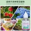 Ocho Solución Nutritiva Removedora de Cloro para Ancianos Líquida Jardinería Doméstica Riego Sin Secado Flores de Agua Eliminar Agua del Grifo Flores