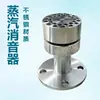 Silenciador de Calentador de Agua Reducción de Ruido Absorción de Golpes Eyector de Vapor Mezclador de Vapor-Agua de Inmersión 304 Brida Roscada Dn50