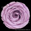 Yongsheng flor al por mayor 8 cabezas de flor de rosa grado B 4-5 cm flores reales flores material floral DIY especificaciones completas