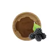 Extracto de morera 10:1 Materia Prima Vegetal Antioxidante Soluble en Agua de Grado Alimenticio Extracto Concentrado Polvo Fino en Stock