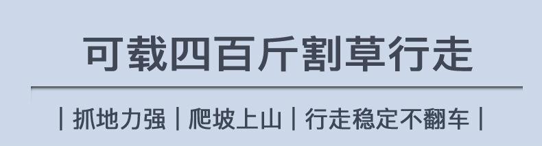 汽油遥控割草机9_副本2
