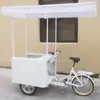 Carrinho de Sorvete Triciclo Movido a Energia Solar com Congelador/Geladeira para Venda de Sorvete, Carrinho Congelador de Sorvete Triciclo com Pedais/Elétrico