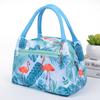 Venta al por mayor Nueva Moda Cremallera Bolsa Portátil Aislada Damas Dibujos Animados Impermeable Bolsa de Almuerzo con Papel de Aluminio Bolsa de Almuerzo Aislada