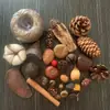 Fruta Fixa Natural Planta Fruta Casca Espécime Material Decoração Flores Secas Fatias Jardim de Infância DIY Pacote de Material de Natal