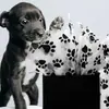 17g Pata de Gato Pata de Perro Papel de Seda Huella de Animal Patrón de Dibujos Animados Ropa Zapatos Sombreros Papel de Regalo Caja de Regalo Impresión de Regalo