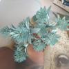 Rama corta de 10 abetos negros con frutos espinosos, arreglo floral decorativo verde Haidong, materiales a juego, ramo de boda, flores y frutas artificiales nórdicas
