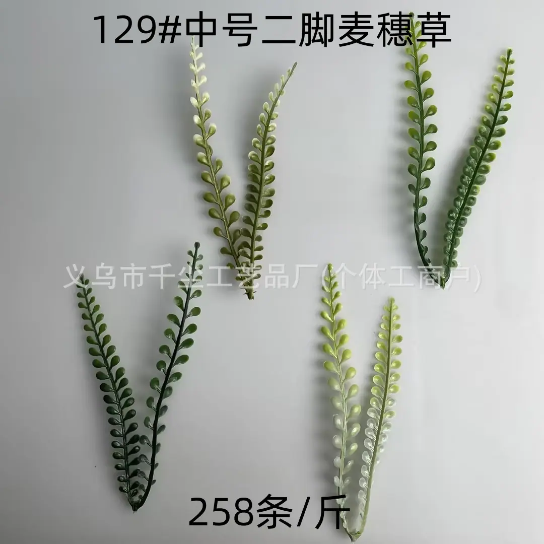 129#中号二脚麦穗草.jpg
