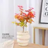 Bonsái de Arce Rojo en Maceta Pequeño Bonsái Bailarina Roja Arce Rojo Japonés Balcón Fácil de Cultivar Planta Verde de Hoja Roja Flor de Celebridad de Internet Plantación en Patio