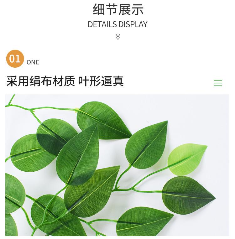 详情仿真绿植_05.jpg