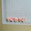 Acessórios de Resina Brilhantes Imitando Flor de Pessegueiro Rosa para Capas de Celular DIY, Presilhas de Cabelo, Tamancos, Bolsas e Ímãs de Geladeira