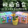 Caixa Surpresa de Plantio Infantil Plantas em Vasos Pequenos Plantas Mágicas de Escritório Plantas Verdes de Mesa Mini Presente para Estudantes Dia das Crianças
