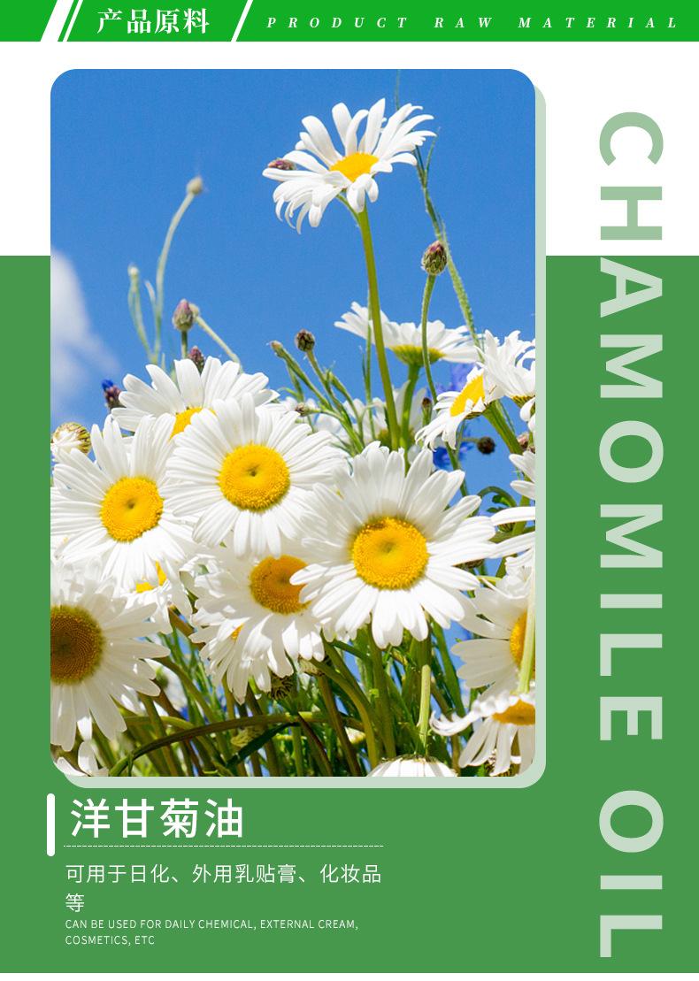 洋甘菊油_03