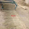 Cortina de palha estufa isolamento proteção contra frio isolamento térmico telhado decoração cortina de palha concreto anticongelante estrada antiderrapante tapete de palha