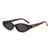 Gafas de sol de estilo europeo y americano 2026 para mujer, Gafas de moda de montura pequeña de alta gama, Gafas de sol estilo ojo de gato Y2K estilo callejero para hombre