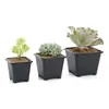 Macetas para Suculentas al por Mayor, Macetas de Plástico Espeso para Flores, Macetas Cuadradas Negras Pequeñas para Plantas de Tallo Único Antiguo, Plantas Verdes en Racimos Pequeños y Combinaciones de Plantas Verdes