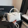 Bolso de Mano de Alta Gama Tipo Dumpling 2026 Nueva Moda Versátil Bolso de Mano Bolso de Hombro Francés de Nicho Bolso Cruzado