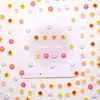 Flores Pequeñas Frescas, Flores de Cinco Pétalos, Accesorios para Uñas Artísticas, Pequeños Accesorios de Resina Tridimensionales, Accesorios Coloridos Portátiles para Uñas, Materiales para Manualidades