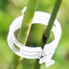 Clip para plantas clip colgante para plántulas clip de plástico para atar enredaderas clip para atar ramas clip colgante para enredaderas abrazadera para enredaderas clip para fijar enredaderas venta al por mayor