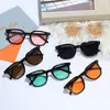 Gafas de sol de moda con personalidad, gafas calientes para mujer, rubor, anti-ultravioleta, anti-azul, gafas de sol al por mayor