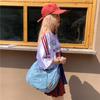 Bolsa Transversal Dumpling Bolsa Feminina Grande Capacidade Estilo Coreano Trabalho Deslocamento Bolsa Jeans Espessa Estilo Qianxi Spice Girl Bolsa de Ombro