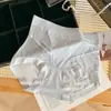 Calcinhas de Renda Francesa Sexy de Verão~Para Meninas, Levemente Modeladoras da Barriga, Forro de Seda Amora, Calcinhas Femininas de Seda Gelada de Cintura Alta
