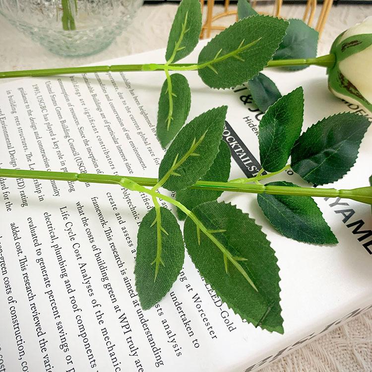 QQ图片20210414095252