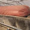 Bolsa de biogás de arcilla roja de alta resistencia, piscina de biogás de PVC blando para uso rural, piscina sellada de fermentación anaeróbica, resistente a ácidos y álcalis.