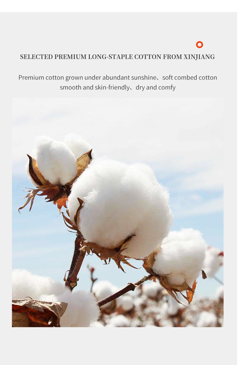 四季男士商务袜_05