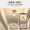 Luz de Pasillo de Lujo Ligero de Moda, Nuevo Creativo 2026 Hoja de Loto Luz de Techo LED Francesa para Entrada
