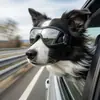 Gafas para perro, protección UV, protección contra el viento y la arena, ajustables, adecuadas para perros medianos y grandes, Border Collie, Golden Retriever, gafas de sol universales