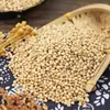 Sorgo Blanco al por Mayor Sorgo Blanco Pelado Productos Agrícolas para Loros Grandes, Comida para Hámster, Comida para Palomas