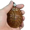 La Tuya Taihang es Rica y Poderosa, y la Pieza de Mano Regresa a su Ciudad Natal. Las Artesanías Tradicionales de Madera Maciza Tallada Son Ricas y Poderosas