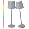 Lámpara de Mesa Minimalista Moderna, Lámpara de Mesa Decorativa Recargable, Dormitorio, Restaurante, Bar, Sensible al Tacto, Luz Nocturna de Ambiente de Gama Alta