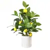 Plantas Verdes Artificiais Desmontadas Transfronteiriças, Árvore de Camélia para Decoração de Interior, Flores Artificiais para Sala de Estar, Plantas em Vasos de Rosas
