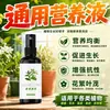 Solución Nutritiva Planta Tipo Universal Maceta Hidropónica Bambú de la Suerte Potos Planta del Dinero Solución Nutritiva Flor de Rosa Fertilizante Especial